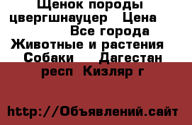 Щенок породы  цвергшнауцер › Цена ­ 30 000 - Все города Животные и растения » Собаки   . Дагестан респ.,Кизляр г.